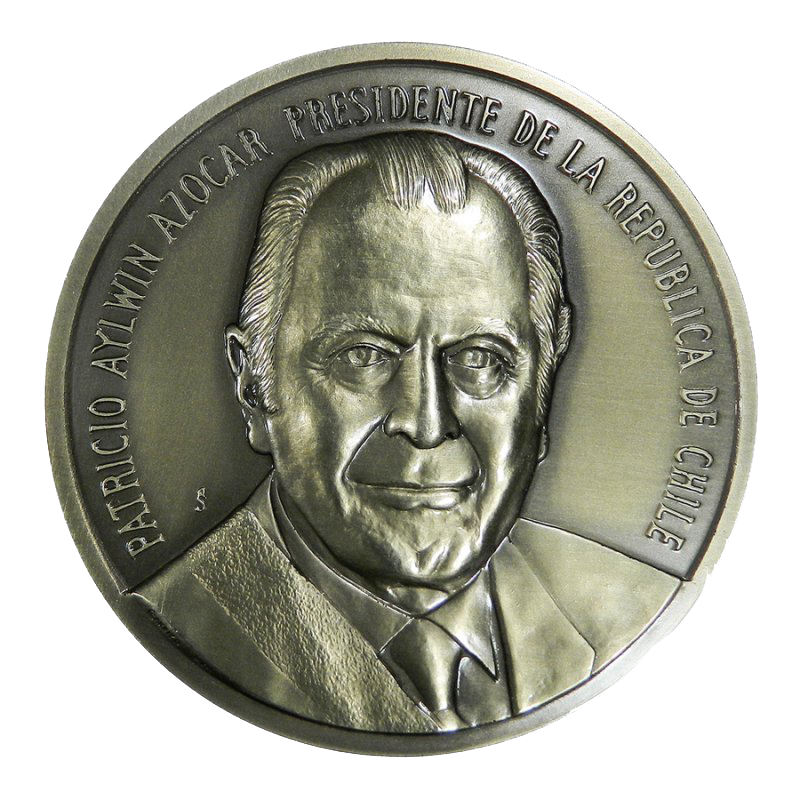 Medalla Alpaca - Patricio Aylwin Azócar