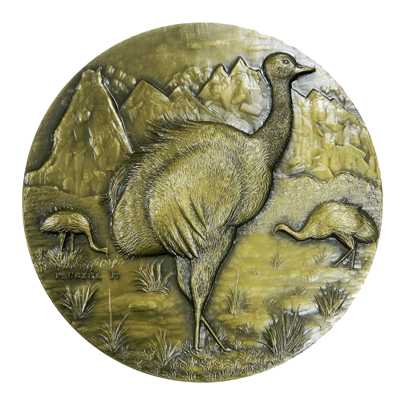 Medalla Bronce - Ñandú Torres del Paine