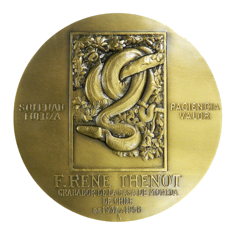 Medalla Bronce - Serpiente Thenot