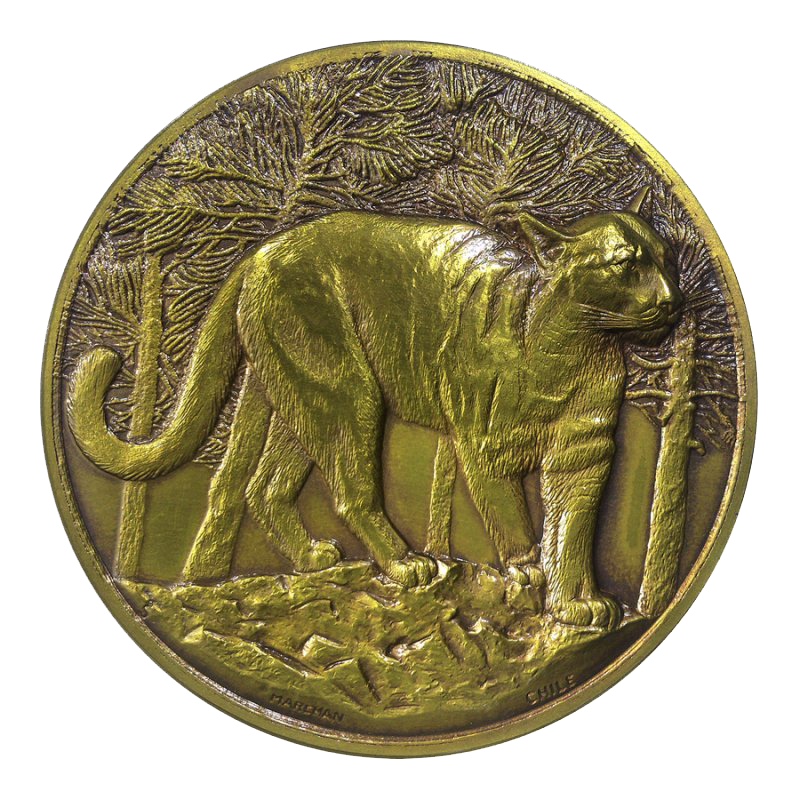 Medalla Bronce - Puma