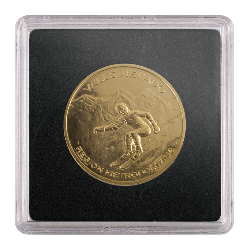 Pieza Conmemorativa Valle Nevado
